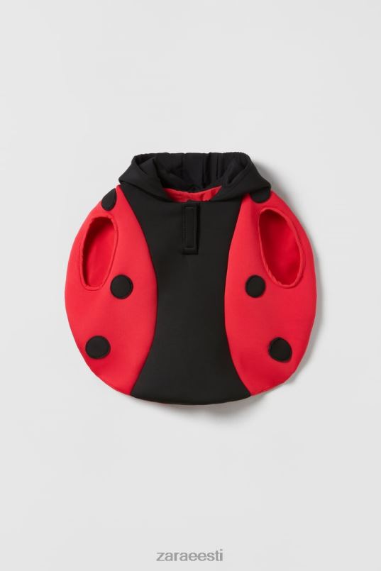 Zara beebi/lepatriinu kostüüm lapsed punane Riietus 42F0H1625