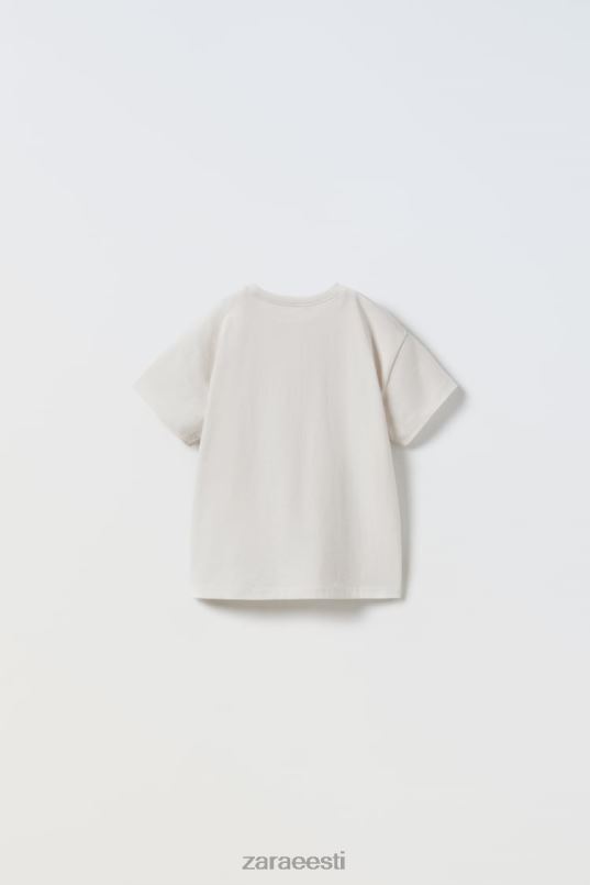 Zara tavaline t-särk lapsed kivi Riietus 42F0H1572