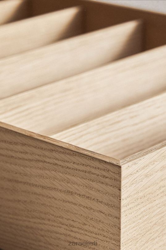 Zara söögiriistade kandik 01 unisex helebeež tarvikud 42F0H1694