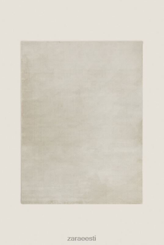 Zara pehme puudutusega tekstuuriga vaip unisex hall/beež tarvikud 42F0H1648