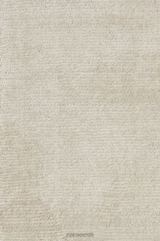 Zara pehme puudutusega tekstuuriga vaip unisex hall/beež tarvikud 42F0H1648