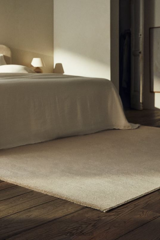 Zara pehme puudutusega tekstuuriga vaip unisex hall/beež tarvikud 42F0H1648