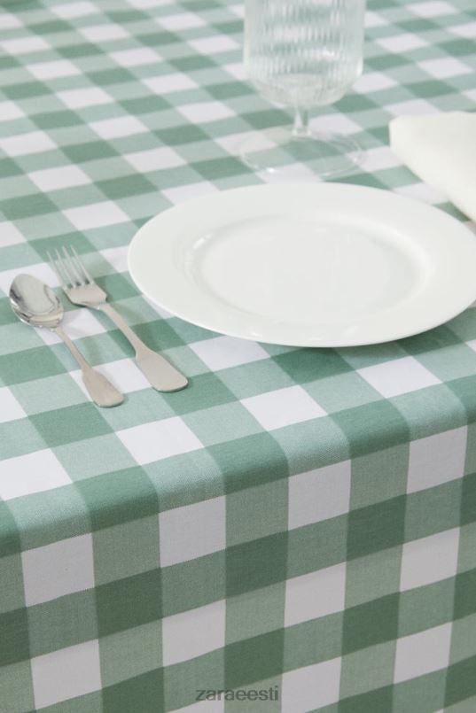 Zara vaigukontrolli laudlina unisex roheline tarvikud 42F0H1669