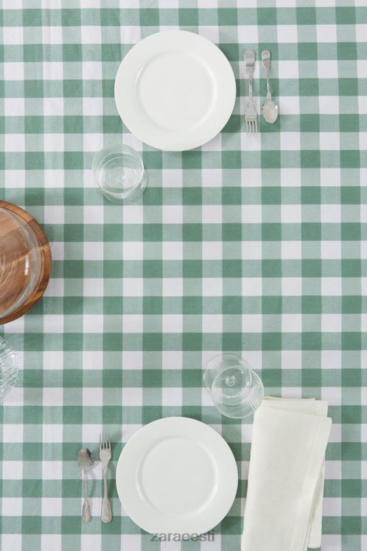 Zara vaigukontrolli laudlina unisex roheline tarvikud 42F0H1669