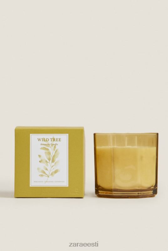 Zara (500 g) metsapuu lõhnaküünal unisex oliiviroheline tarvikud 42F0H1764