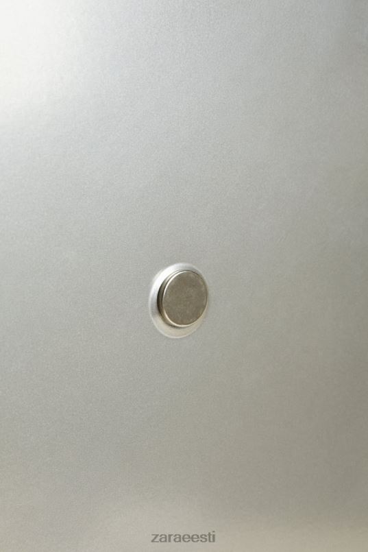 Zara kaanega vanapaberikorv (169 untsi) unisex terasest tarvikud 42F0H1777