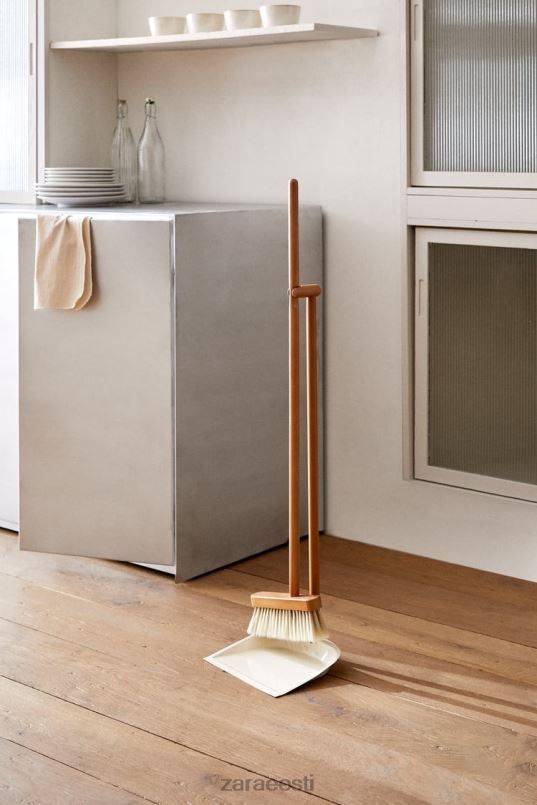 Zara puidust tolmulapp ja harja komplekt unisex valge tarvikud 42F0H1778