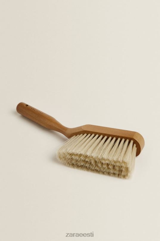 Zara tolmulapp ja harja komplekt unisex valge tarvikud 42F0H1779