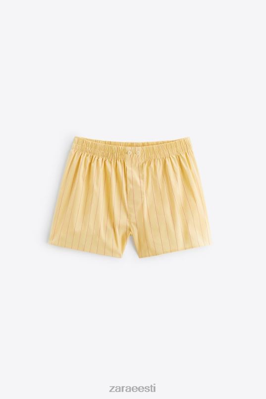 Zara kaks pakk triibulisi popliiniboksereid mehed mitmesugused tarvikud 42F0H1416