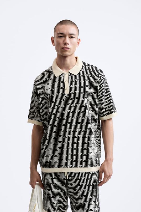 Zara geomeetrilise kootud žakaarvärvi polo kampsun mehed ekru Riietus 42F0H1225