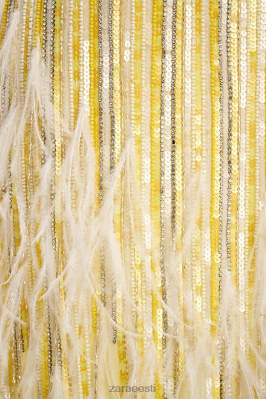 Zara sulgedega kristallseelik piiratud väljaanne naised kollane Riietus 42F0H722