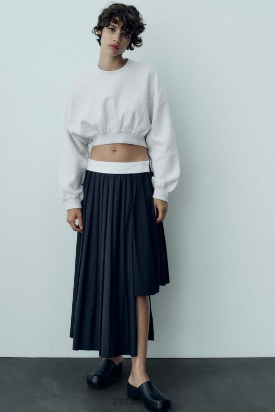 Zara triibuline kasti plisseeritud seelik naised sinine Riietus 42F0H652