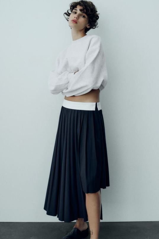 Zara triibuline kasti plisseeritud seelik naised sinine Riietus 42F0H652