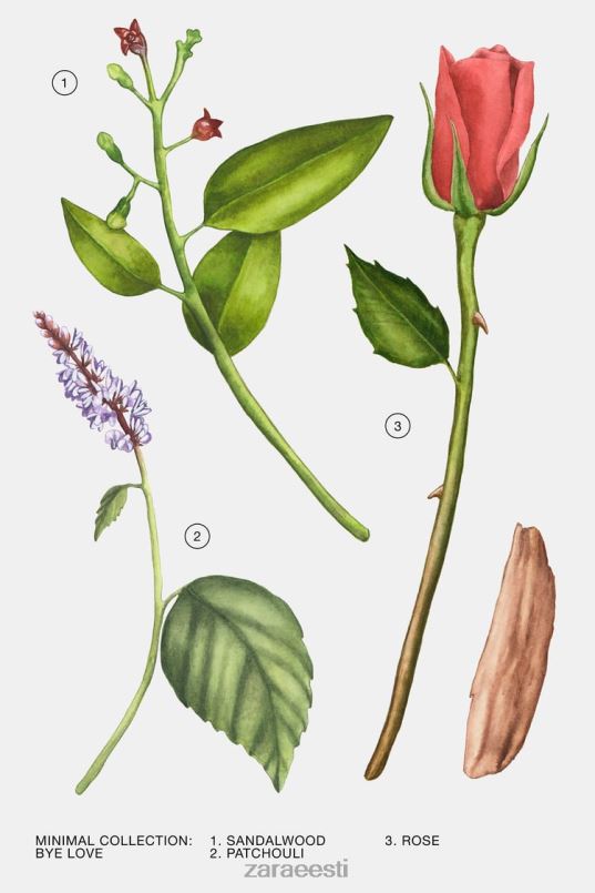 Zara bye love 100 ml naised originaal tarvikud 42F0H801