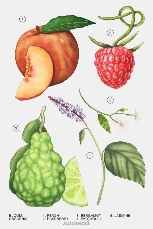 Zara gardeenia 30 ml naised originaal tarvikud 42F0H806