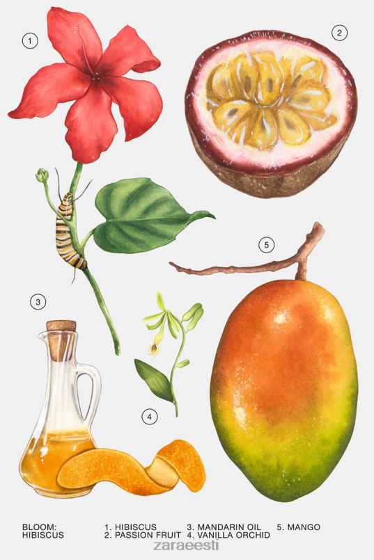 Zara hibisk 90 ml naised originaal tarvikud 42F0H803