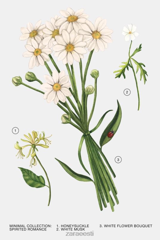 Zara meeleolukas romantika 100 ml naised originaal tarvikud 42F0H795