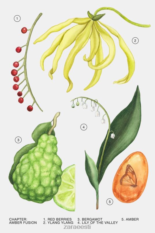 Zara merevaigu fusioon 30 ml naised originaal tarvikud 42F0H780