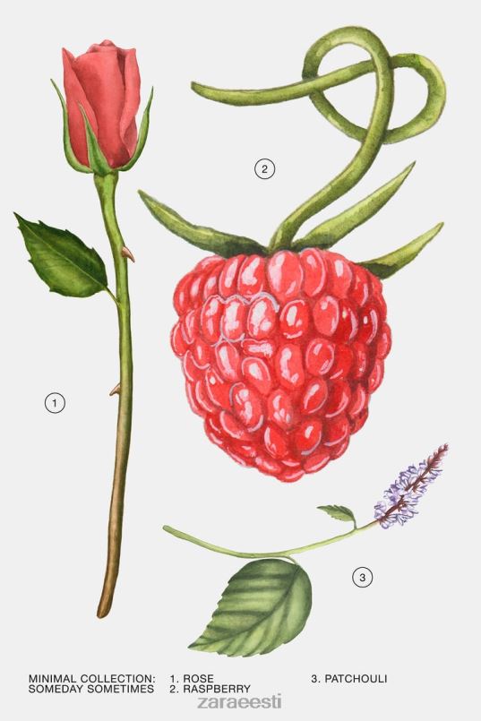 Zara millalgi vahel 30 ml naised originaal tarvikud 42F0H789