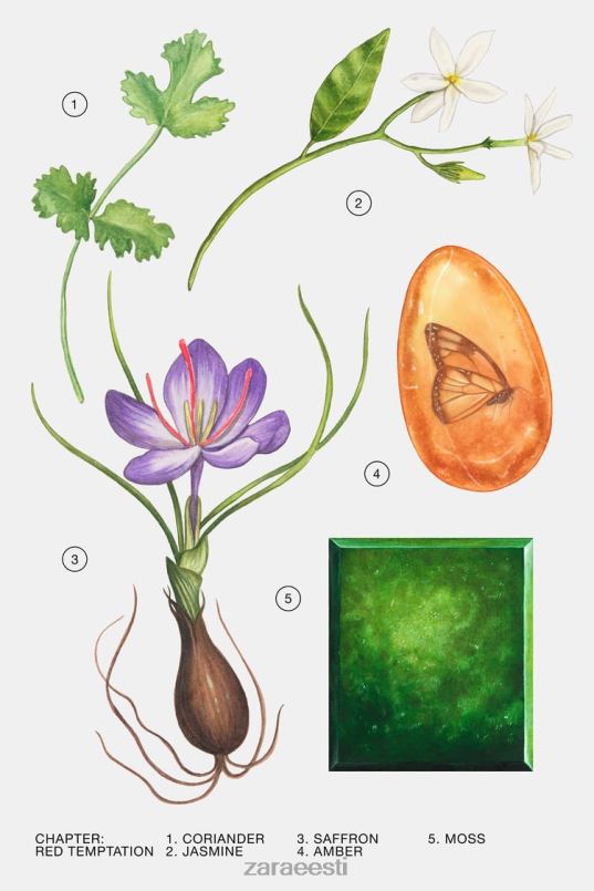 Zara punane kiusatus 30 ml naised originaal tarvikud 42F0H773