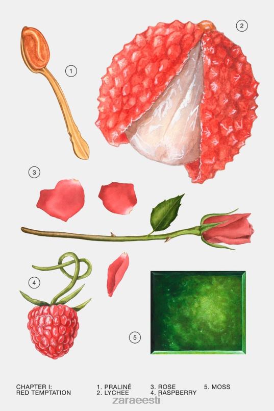 Zara punane kiusatus suvi 80 ml naised originaal tarvikud 42F0H776