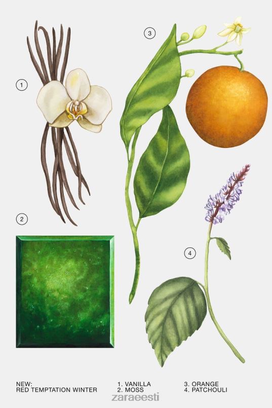 Zara punane kiusatus talvine 80 ml naised originaal tarvikud 42F0H769