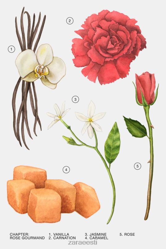 Zara roosigurmaan 30 ml naised originaal tarvikud 42F0H784