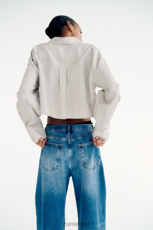 Zara triibuline crop särk naised hall Riietus 42F0H357